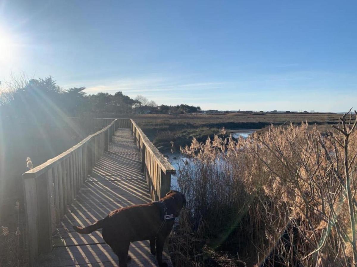 Les Gites Du Canal Gujan-Mestras Exteriör bild